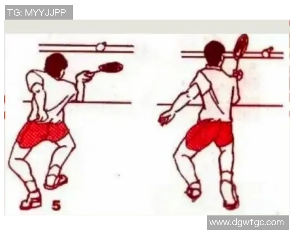 羽毛球深度解析：上海羽毛球队如何巧妙反击对手的战术与策略